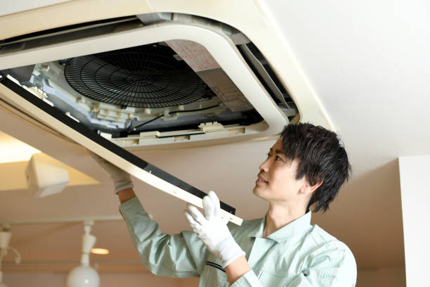 Best Local Air Duct Cleaning Services  in White Bluff, TN
