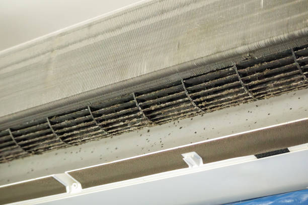 Best General Air Duct Cleaning  in White Bluff, TN