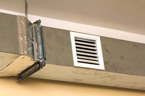Best Affordable Duct Cleaning Services  in White Bluff, TN